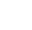 Logotyp Pałacu Wielopolskich