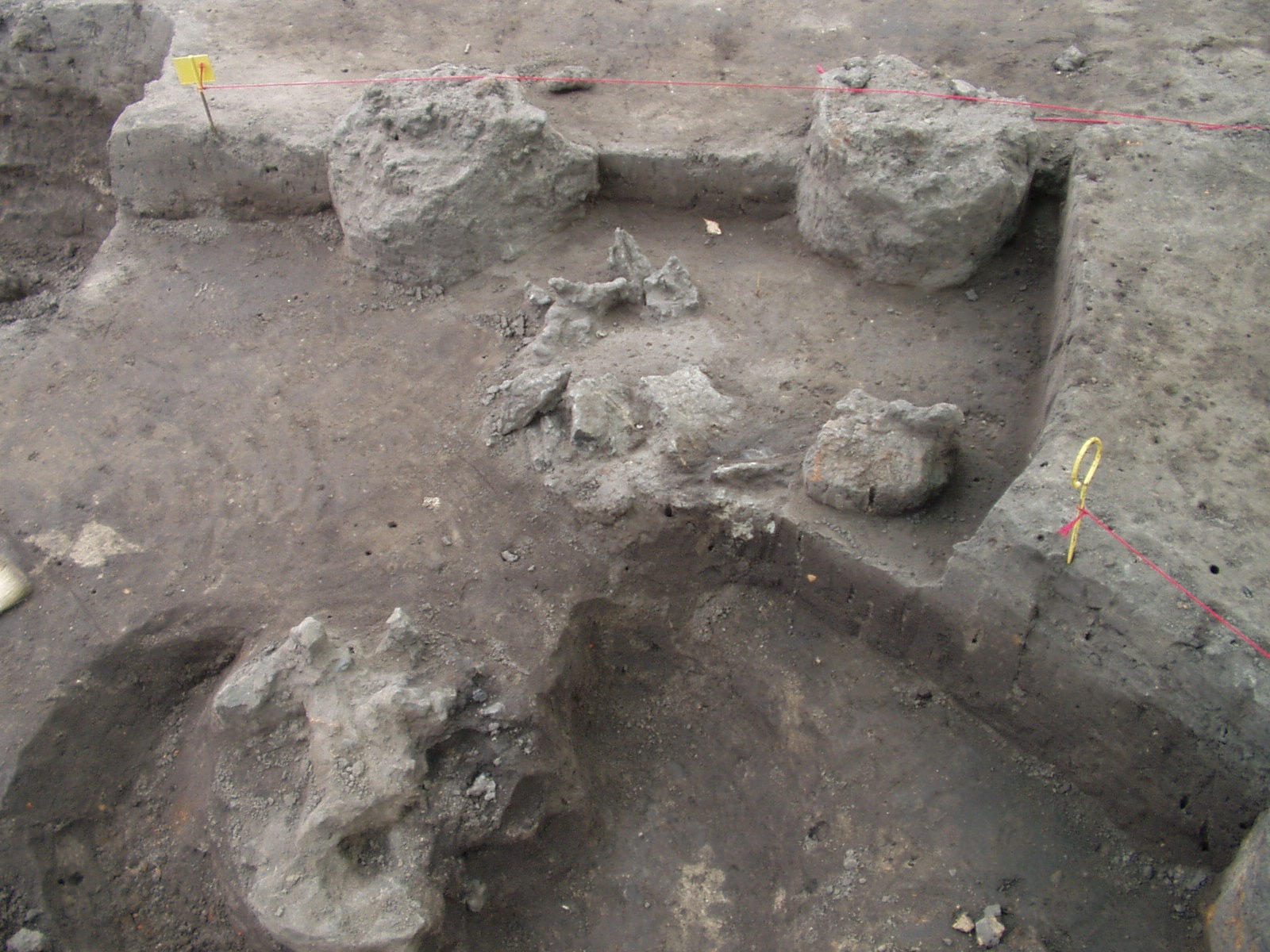 Fotografia barwa przestawiająca obrys kamiennych murów zagłębionych w ziemi - stanowisko archeologiczne